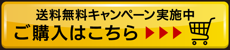 送料無料キャンペーン実施中！ご購入はこちら