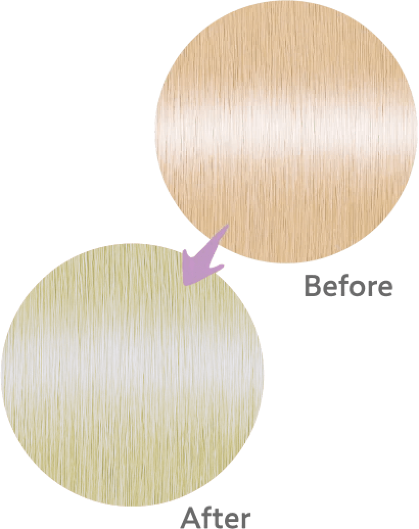 Before After イメージ