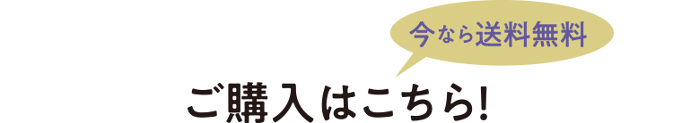 ご購入はこちら！