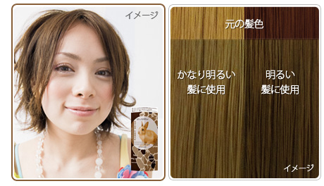 エブリ ヘアカラー（医薬部外品）　ラビットベージュ