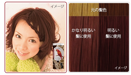 エブリ ヘアカラー 黒髪 明るい髪に使用した場合