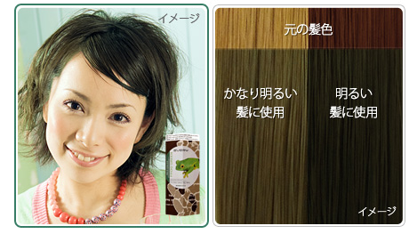 エブリ ヘアカラー（医薬部外品）　フロッググリーン