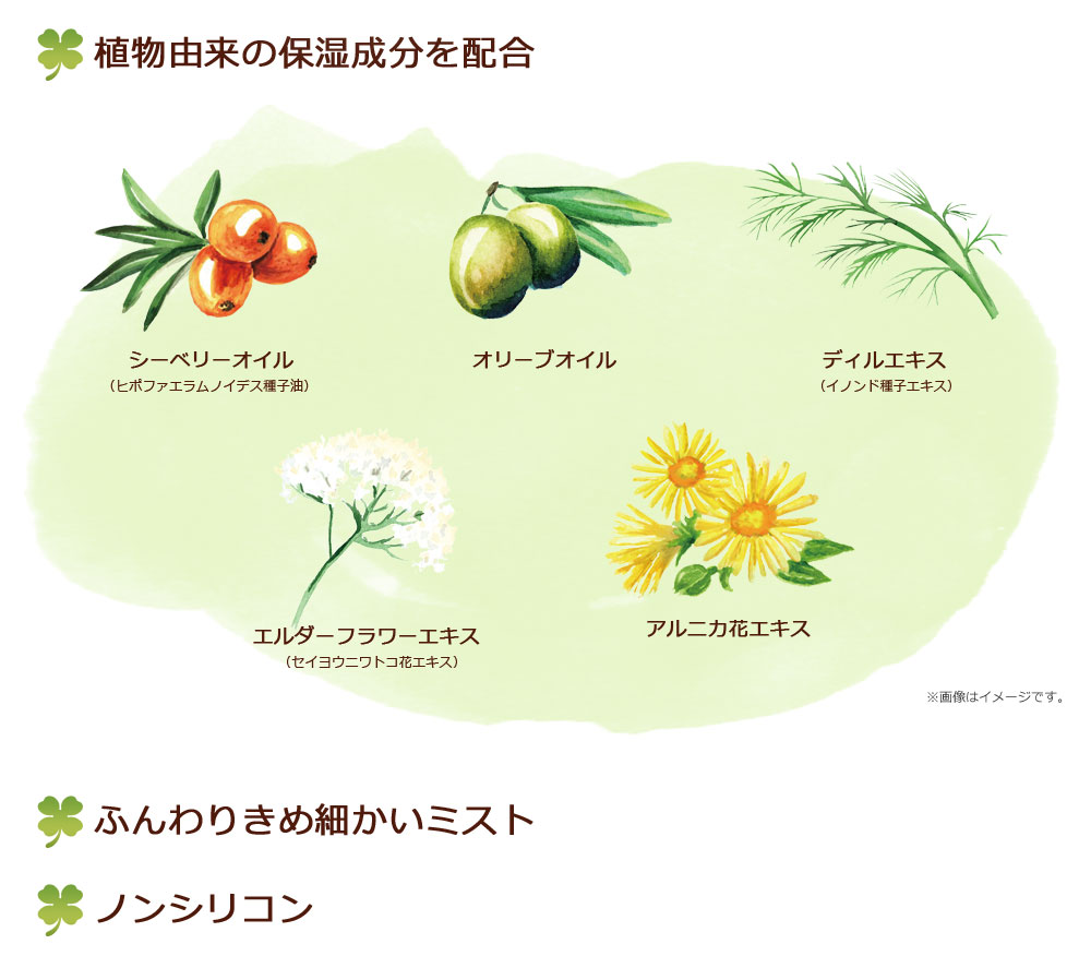 植物由来の保湿成分を配合