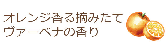 オレンジ香る摘みたてヴァーベナの香り