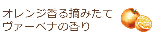 オレンジ香る摘みたてヴァーベナの香り