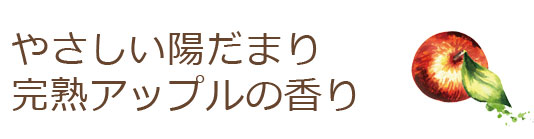 やさしい陽だまり完熟アップルの香り