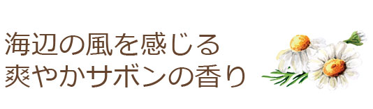 海辺の風を感じる爽やかサボンの香り