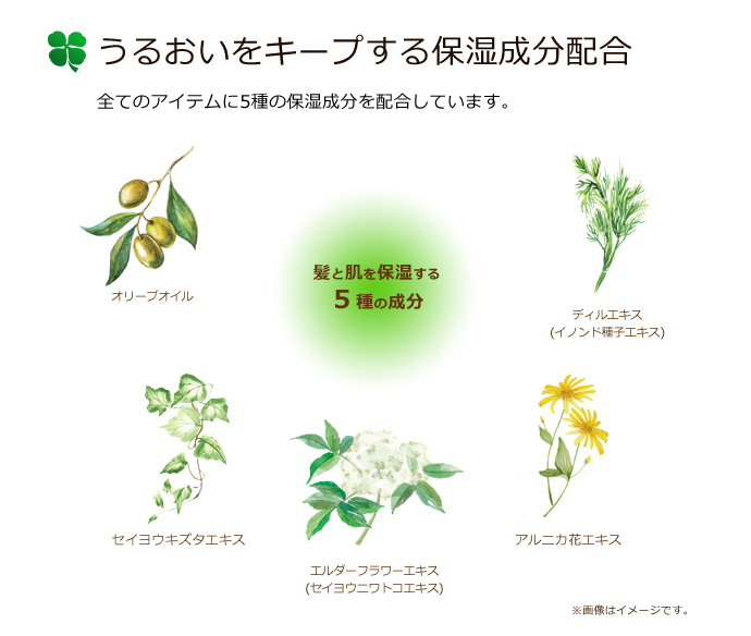 うるおいをキープする保湿成分配合