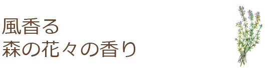 風香る森の花々の香り