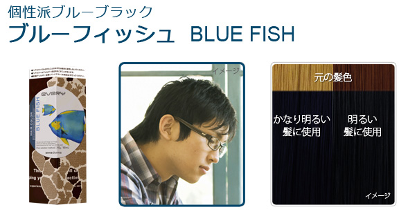 個性派ブルーブラック『ブルーフィッシュ』