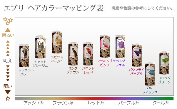 エブリヘアカラー　マッピング表