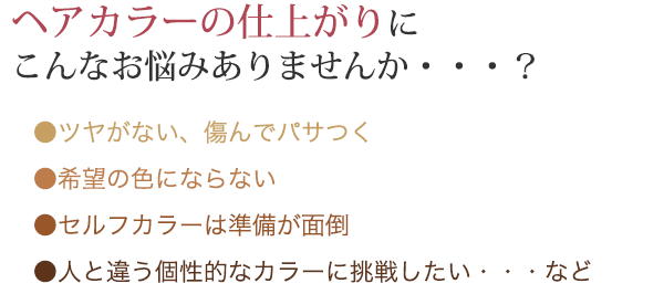 ヘアカラーのこんなお悩みありませんか？ツヤがない、傷んでパサつく／希望の色にならない／セルフカラーは準備が面倒／人と違う個性的なカラーに挑戦したいなど