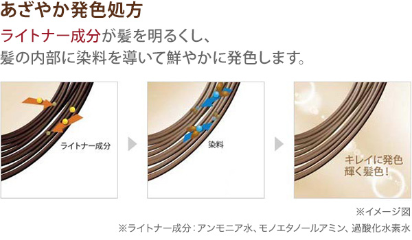 あざやか発色処方　ライトナー成分が髪を明るくし、髪の内部に染料を導いてあざやかに発色します