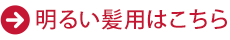 明るい髪用はこちら