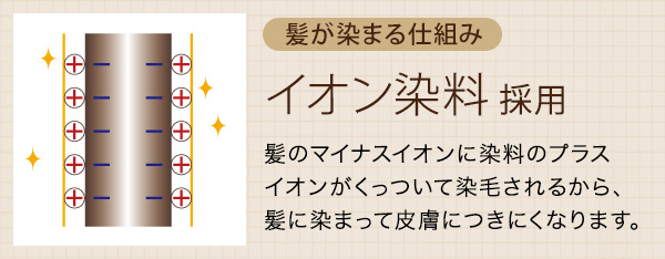 イオン染料採用：髪のマイナスイオンに染料のプラスイオンがくっついて染毛されるから髪に染まって皮膚につきにくくなります。